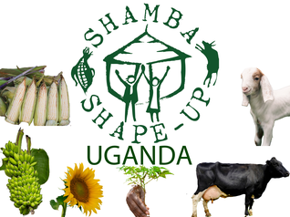 ssu_ug